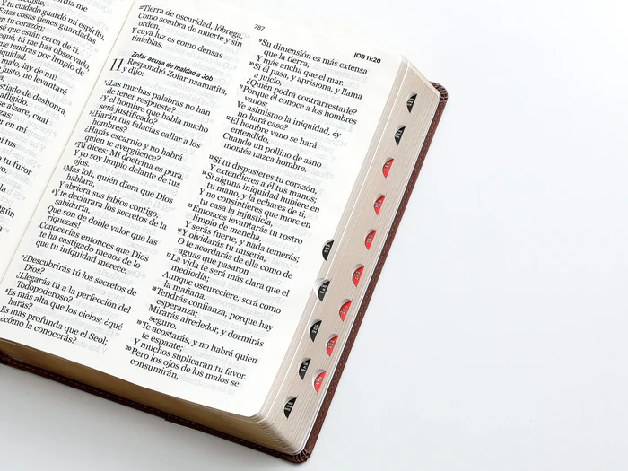 Biblia RVR 1960 clásica negro, letra Súper Gigante con índice