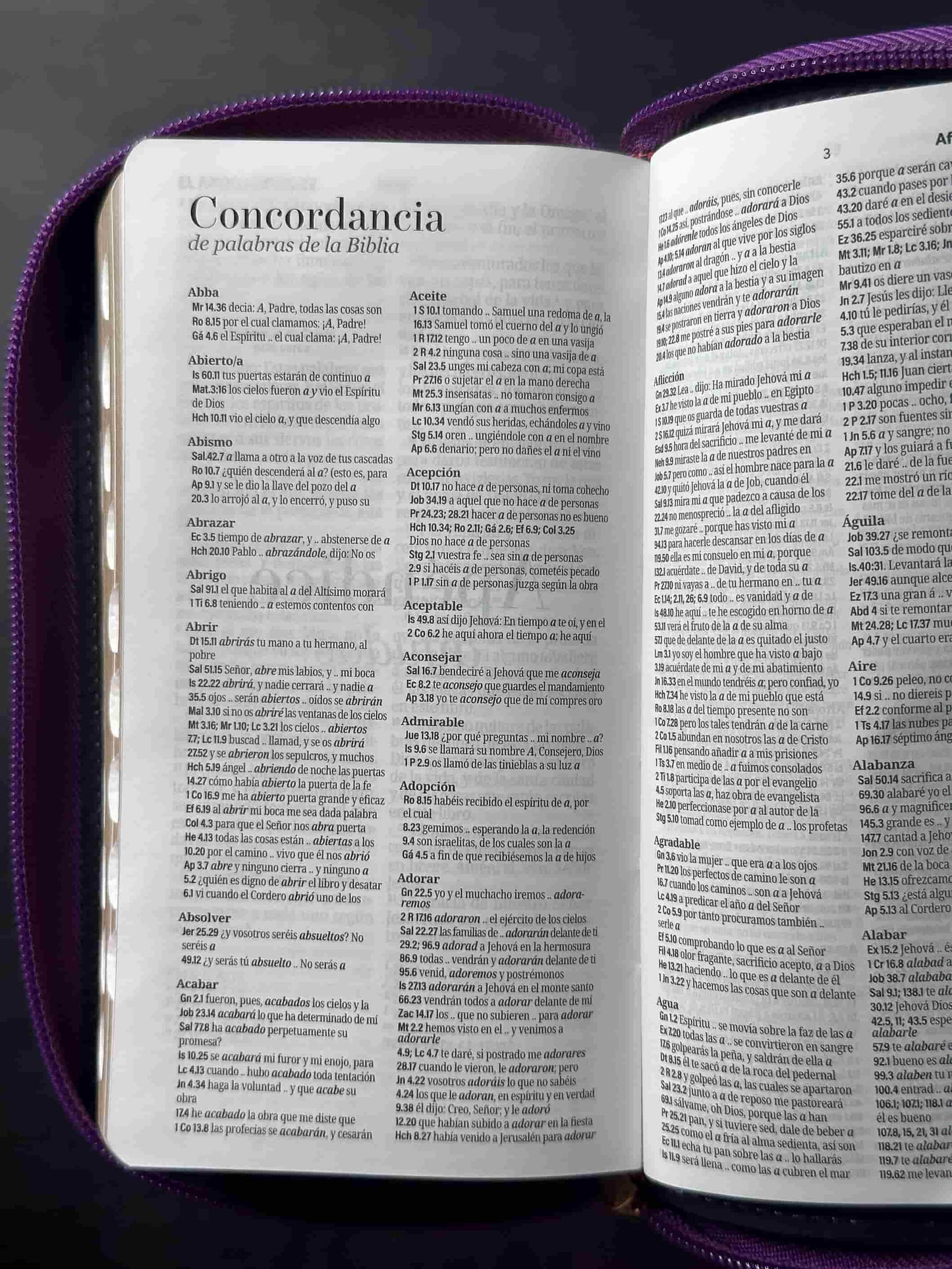 Biblia RVR1960 imitación piel Lila/lila/Gris claro Tamaño Chequera