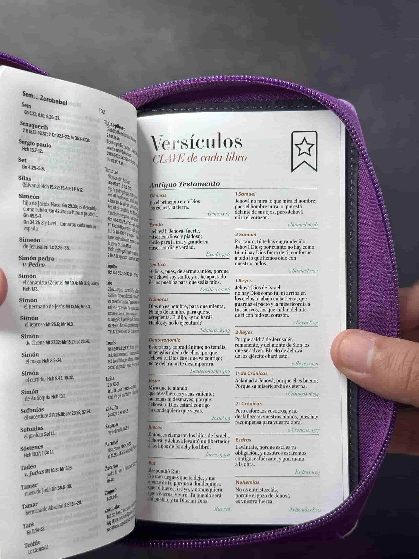 Biblia RVR1960 imitación piel Lila/lila/Gris claro Tamaño Chequera