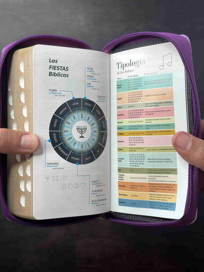 Biblia RVR1960 imitación piel Lila/lila/Gris claro Tamaño Chequera